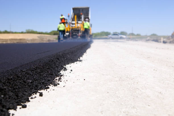 Best Driveway Paver Repair  in El Cenizo, TX